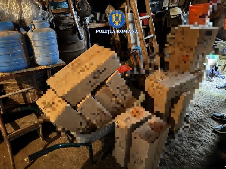 Descoperire uriașă la Coltău. 650 kg de materiale pirotehnice și o armă neautorizată, găsite în urma unei percheziții – video