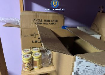 Descoperire uriașă la Coltău. 650 kg de materiale pirotehnice și o armă neautorizată, găsite în urma unei percheziții – video