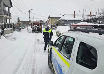 Verificări în trafic. Se lasă cu amenzi dure