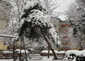 Pericol iminent pe o stradă din Baia Mare