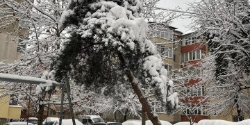 Pericol iminent pe o stradă din Baia Mare