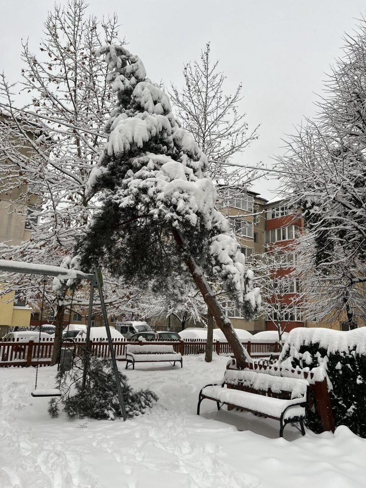 Pericol iminent pe o stradă din Baia Mare