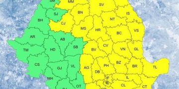 Cod Galben de ger în Maramureș!