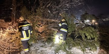 Intervenție rapidă a pompierilor voluntari din Târgu Lăpuș, copac căzut pe DJ 171E, la intrarea în Stoiceni – foto