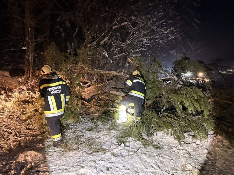 Intervenție rapidă a pompierilor voluntari din Târgu Lăpuș, copac căzut pe DJ 171E, la intrarea în Stoiceni – foto