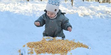 FOTO: Cel mai mic silvicultor din Maramureș