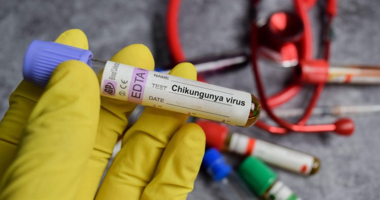 Un nou caz de virus Chikungunya confirmat în România