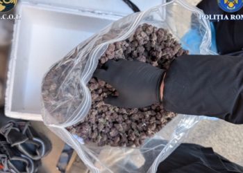 Prinși în flagrant delict cu droguri, în prima zi din an