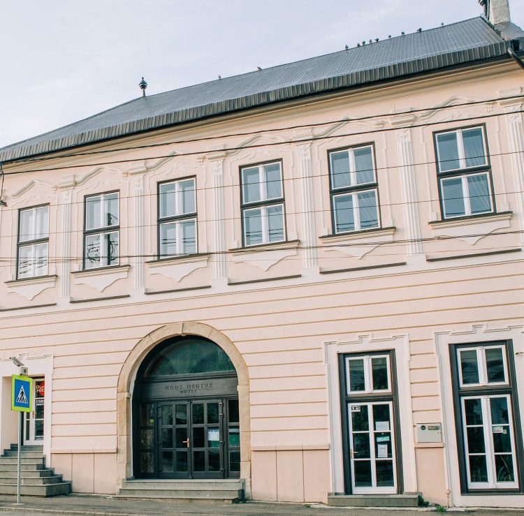 Expoziția de pictură „Armonii de iarnă”, la Casa de Cultură din Baia Sprie