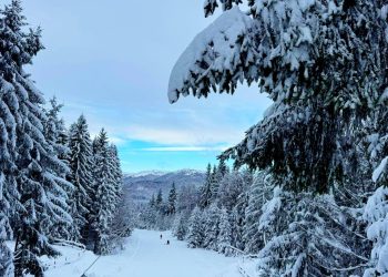 Informații utile de la SuperSki Cavnic