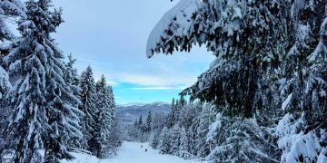 Informații utile de la SuperSki Cavnic