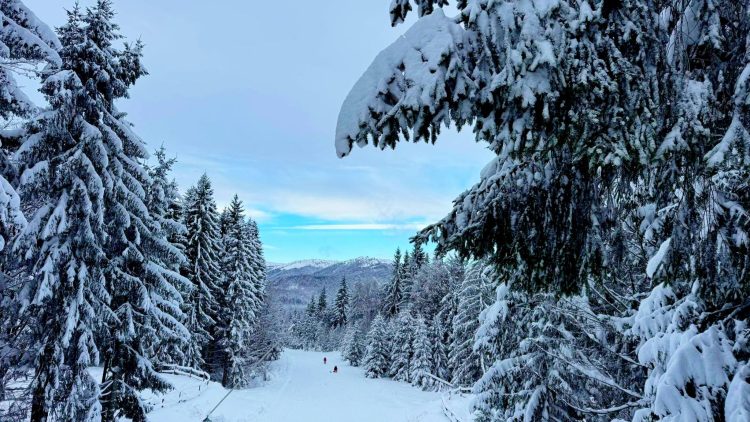 Informații utile de la SuperSki Cavnic