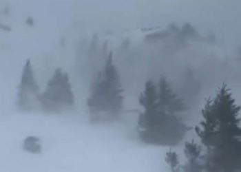 COD GALBEN de vânt în anumite zone din județ. Vor fi rafale de până la 120 km/h