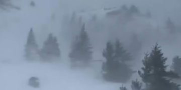 COD GALBEN de vânt în anumite zone din județ. Vor fi rafale de până la 120 km/h