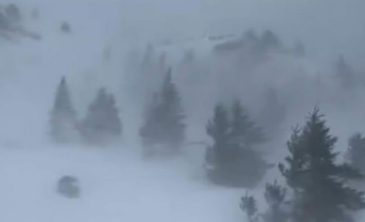 COD GALBEN de vânt în anumite zone din județ. Vor fi rafale de până la 120 km/h