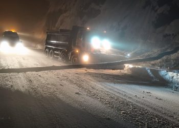Atenție, șoferi! Copac doborât de zăpadă pe DN18, în Pasul Gutâi. Trafic oprit temporar – foto