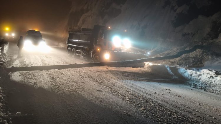 Atenție, șoferi! Copac doborât de zăpadă pe DN18, în Pasul Gutâi. Trafic oprit temporar – foto