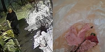 Semnal de alarmă în Baia Mare: mâncare suspectă aruncată animalelor, într-o zonă unde au mai existat cazuri de otrăvire