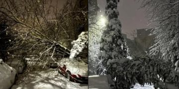 Copaci prăbușiți peste autoturisme pe strada Transilvaniei din Baia Mare, în urma ninsorilor abundente