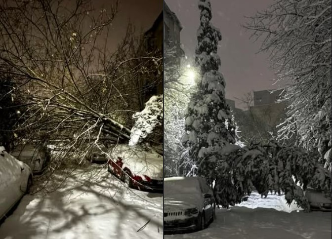 Copaci prăbușiți peste autoturisme pe strada Transilvaniei din Baia Mare, în urma ninsorilor abundente