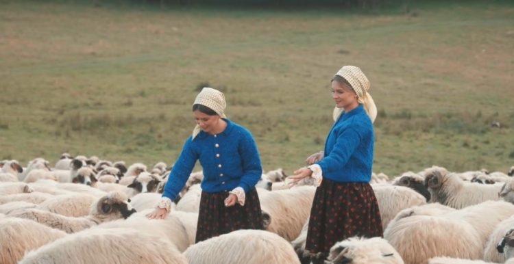 Gemenele Folclorului Maramureșean, Suzana și Daciana Vlad, lansează un nou cântec din repertoriu propriu – un omagiu adus ciobanului român