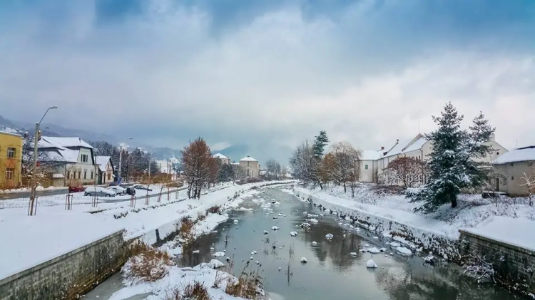 VIDEO: Apariție inedită în albia râului Săsar