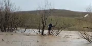 VIDEO: Bărbat surprins de ape. Salvatorii l-au găsit cocoțat într-un copac!