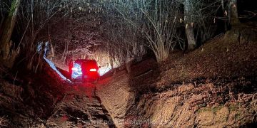 24.000 de pachete cu țigări, în valoare de peste 464.000 de lei, descoperite într-un autovehicul de către poliţiştii de frontieră