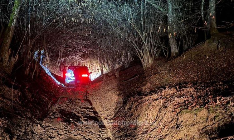 24.000 de pachete cu țigări, în valoare de peste 464.000 de lei, descoperite într-un autovehicul de către poliţiştii de frontieră