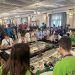 Baia Mare găzduiește faza regională a concursului FIRST LEGO LEAGUE România