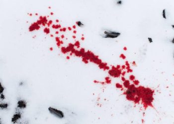 Sindicatul Europol reacționează după atacul asupra unui polițist în Baia Mare. „Dar pe noi cine ne protejează?”