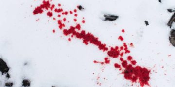 Sindicatul Europol reacționează după atacul asupra unui polițist în Baia Mare. „Dar pe noi cine ne protejează?”