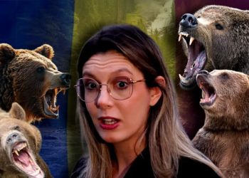 Diana de la mediu, ursul brun și gardurile electrice cu dedicație!