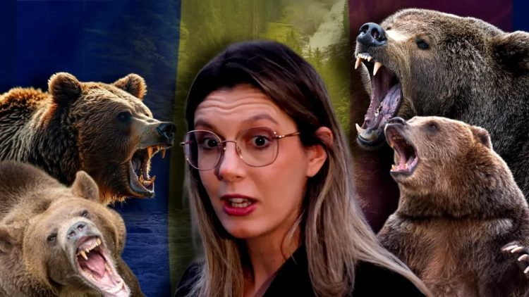 Diana de la mediu, ursul brun și gardurile electrice cu dedicație!