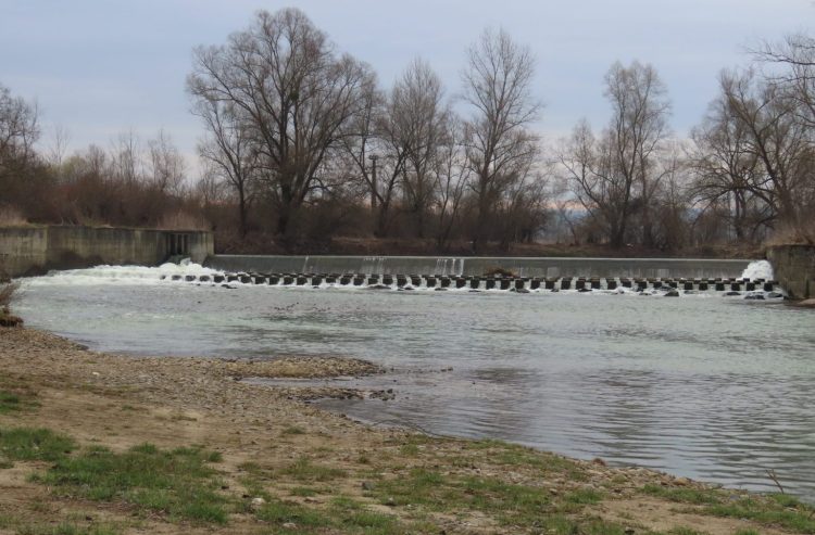 Barajul Cătălina de pe râul Lăpuș, analizat pentru îndepărtare: autoritățile și specialiștii invocă argumente ecologice și legale