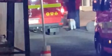 VIDEO: Panică la un magazin din Baia Mare. Pompierii au intervenit de urgență