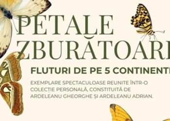 „Petale zburătoare – Fluturi de pe 5 continente”, noua expoziție la Muzeul de Mineralogie din Baia Mare