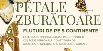 „Petale zburătoare – Fluturi de pe 5 continente”, noua expoziție la Muzeul de Mineralogie din Baia Mare