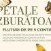 „Petale zburătoare – Fluturi de pe 5 continente”, noua expoziție la Muzeul de Mineralogie din Baia Mare