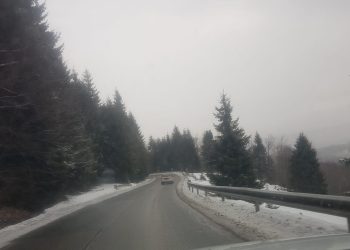 Ninge pe DJ109 F la Cavnic