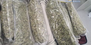 Operațiune anti-droguri la Sighet. Interceptate 6 kilograme de canabis aduse din Spania