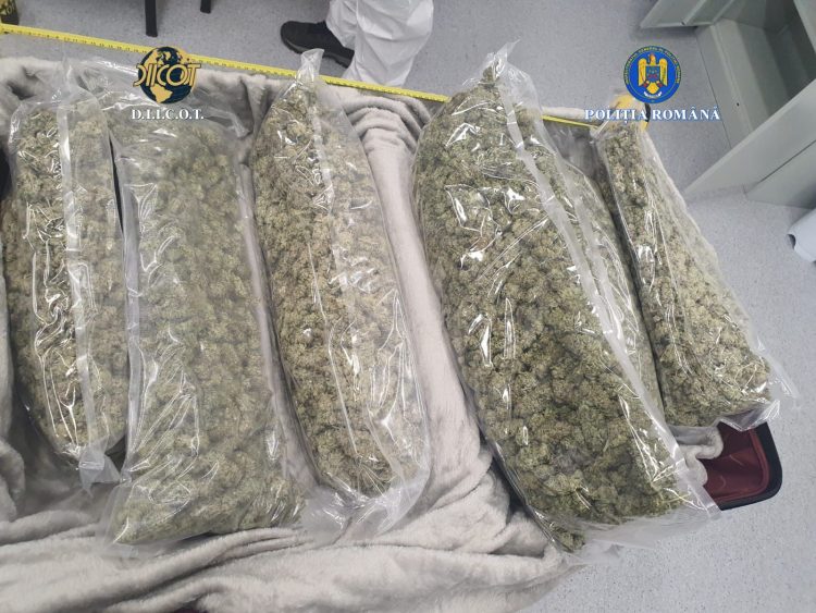 Operațiune anti-droguri la Sighet. Interceptate 6 kilograme de canabis aduse din Spania