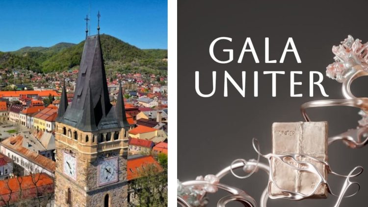 EDITORIAL: Nedreptatea care ne face mici – despre cum Baia Mare își ignoră valorile