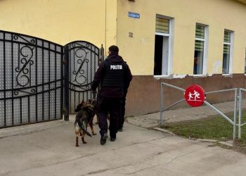 „Scoate violența școlară din anonimat”, mesaj transmis elevilor din Sighetu Marmației