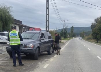 97 de autoturisme verificate în cadrul unei acțiuni tip Blocada la Groși