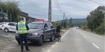 97 de autoturisme verificate în cadrul unei acțiuni tip Blocada la Groși