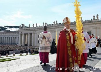 Papa Leon al XIV-lea: Omilia din Duminica Floriilor 2026