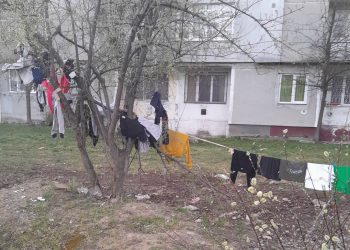 Situație neobișnuită între blocuri: locatarii au întins o frânghie de rufe între doi copaci. Oamenii cer intervenția Poliției Locale