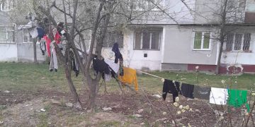 Situație neobișnuită între blocuri: locatarii au întins o frânghie de rufe între doi copaci. Oamenii cer intervenția Poliției Locale