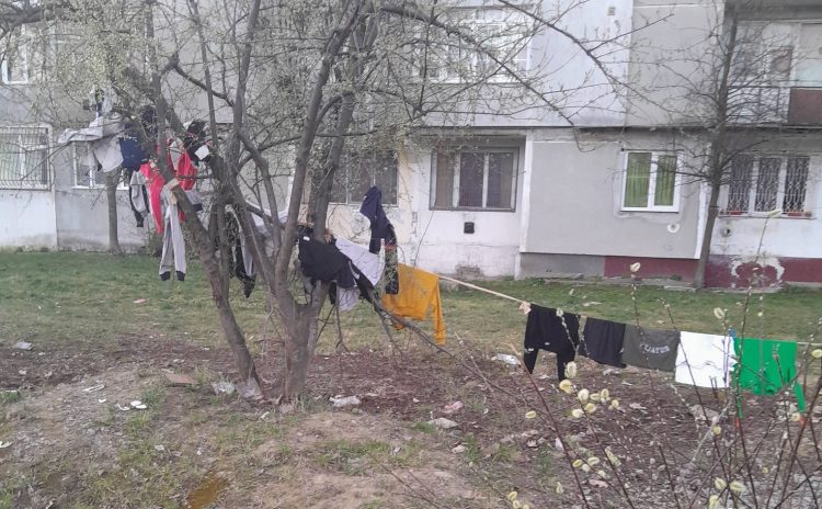 Situație neobișnuită între blocuri: locatarii au întins o frânghie de rufe între doi copaci. Oamenii cer intervenția Poliției Locale